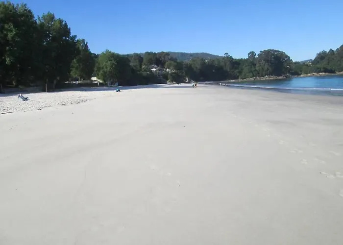 Loft Nuevo Pontevedra